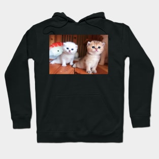 the twins cute cats Hoodie